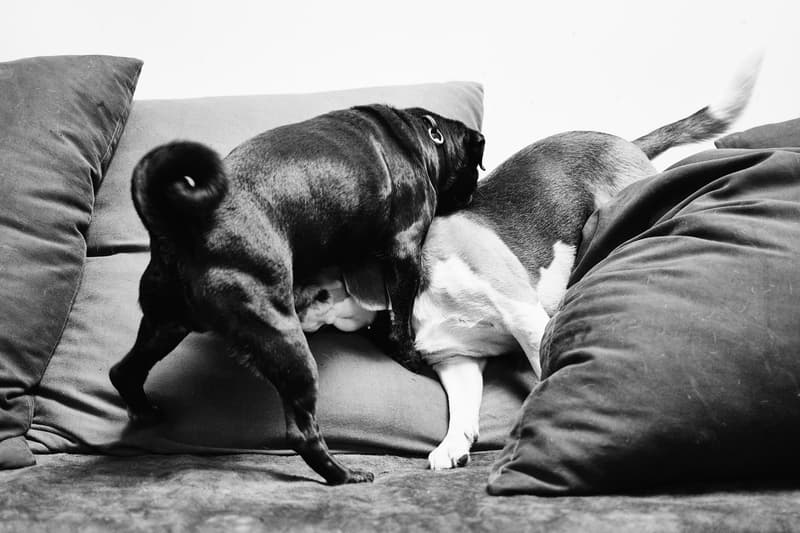 走進 Rick Owens 巴黎住所