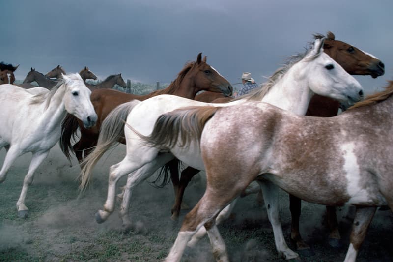 時裝巨頭自家收藏品公開拍賣