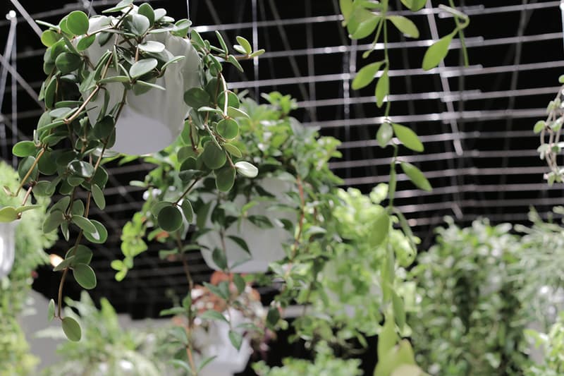 川本諭個人展「HERE AND THERE」回顧