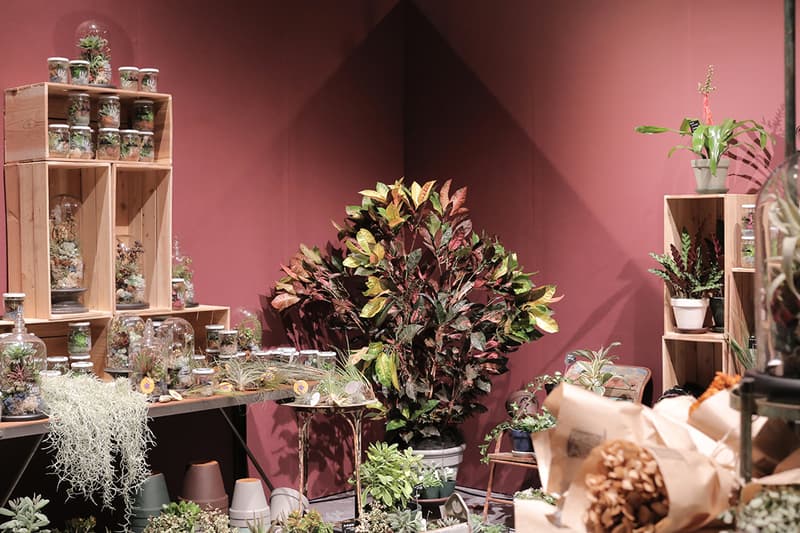 川本諭個人展「HERE AND THERE」回顧