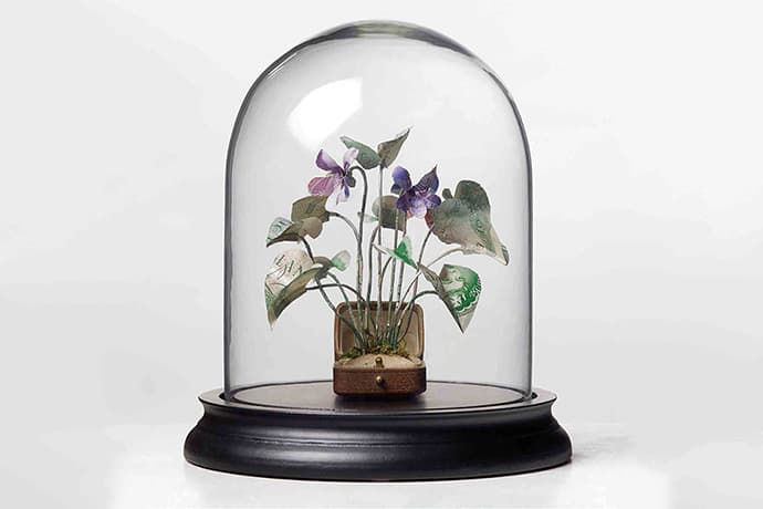 Justine Smith 紙幣的藝術