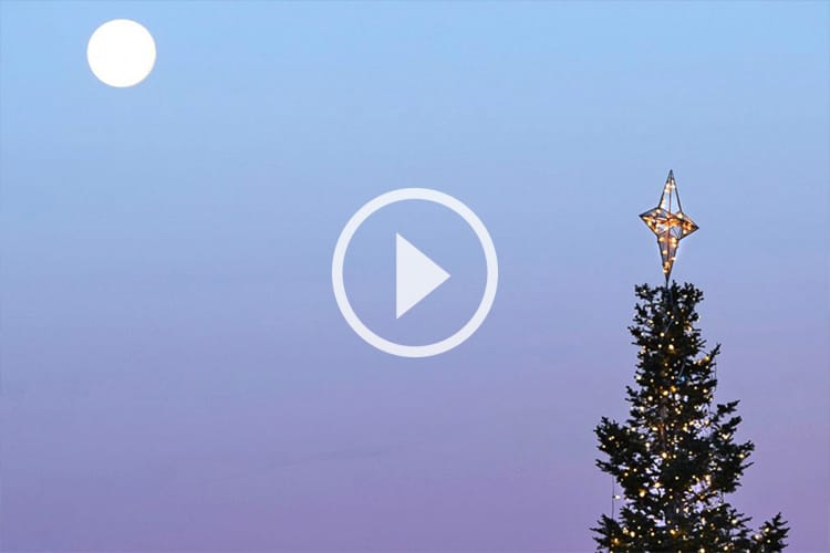 19 年一遇！「舉頭望滿月」之聖誕夜