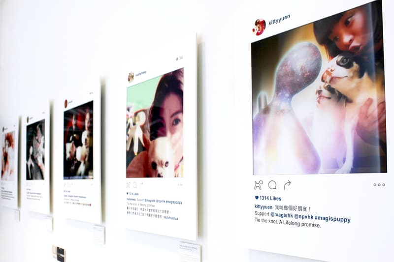 MAGIS x 非牟利獸醫服務協會「Tie The Knot」慈善活動