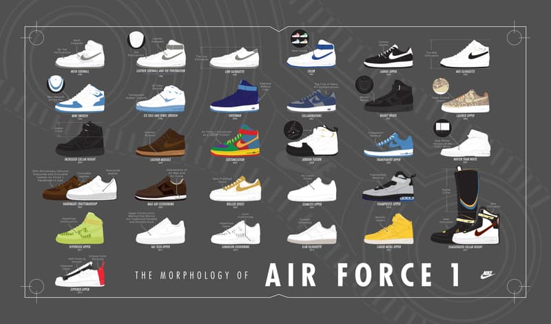 Nike Air Force 1 Morphology Infographic 