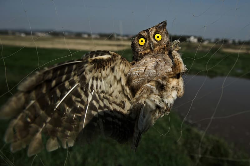 2016 Sony World Photography Awards