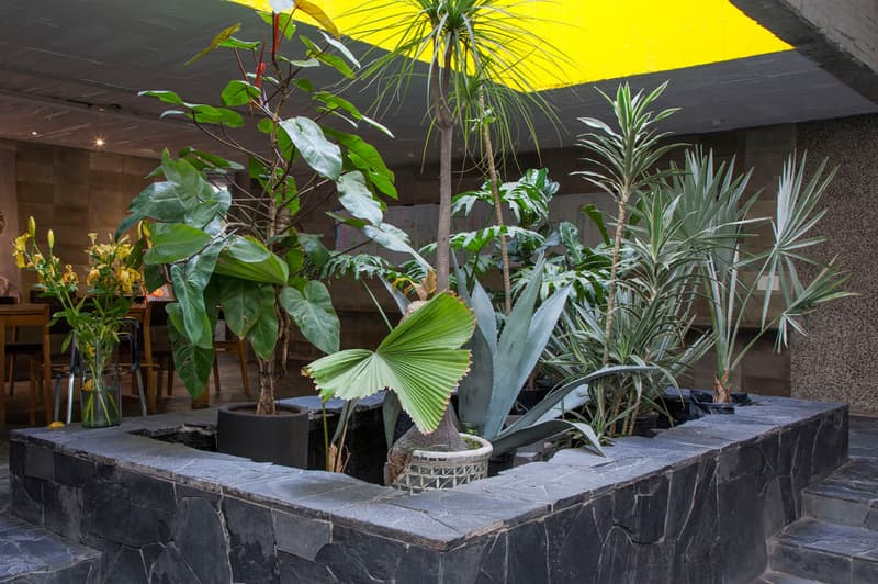 粗獷主義的現代詮釋：走入墨西哥文化鏡頭下的「混凝土生活空間」