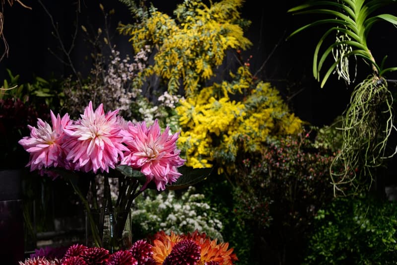 步入 the POOL aoyama x AMKK 東信花樹研究所主題「店中店」