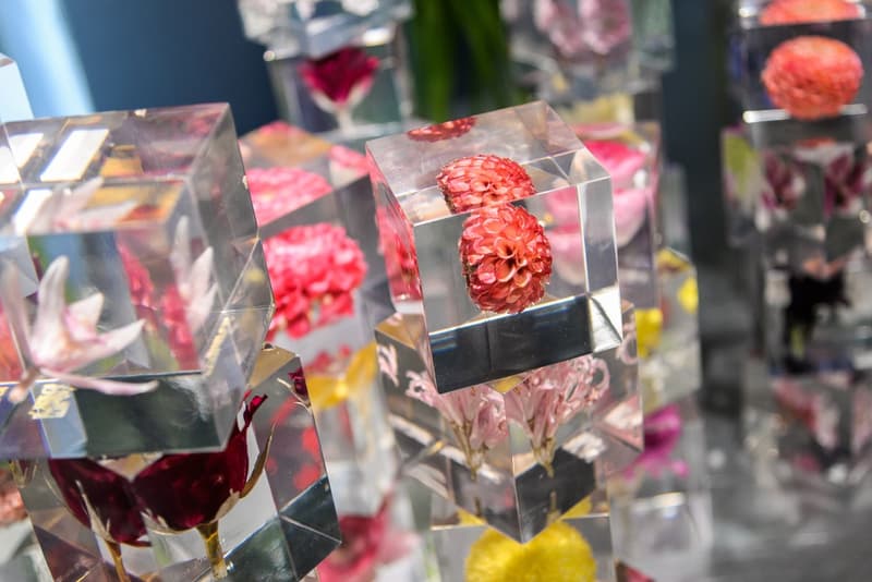 步入 the POOL aoyama x AMKK 東信花樹研究所主題「店中店」