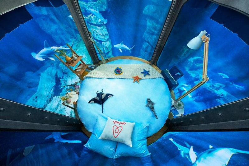 Airbnb 於水族館鯊魚區內設立客房
