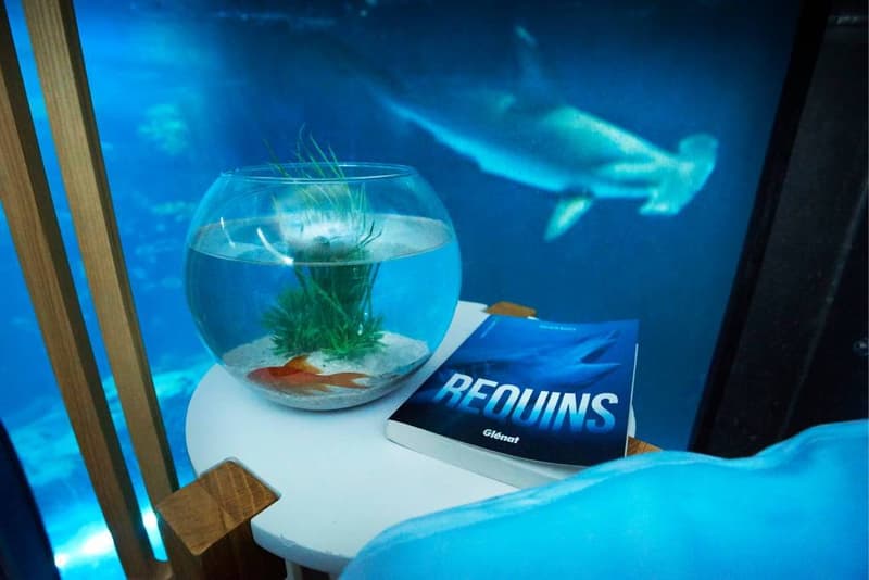Airbnb 於水族館鯊魚區內設立客房