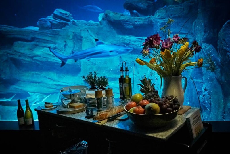 Airbnb 於水族館鯊魚區內設立客房