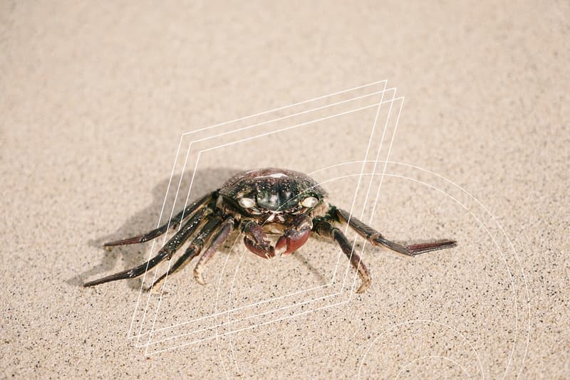 In4mation 2016 春季系列 Lookbook