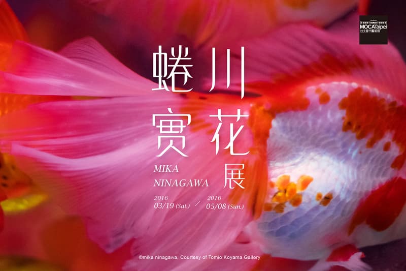 mika ninagawa exhibition taiwan