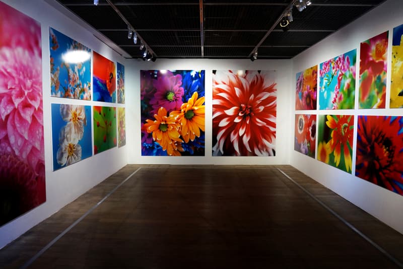 mika ninagawa exhibition taiwan