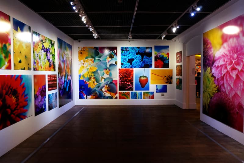 mika ninagawa exhibition taiwan