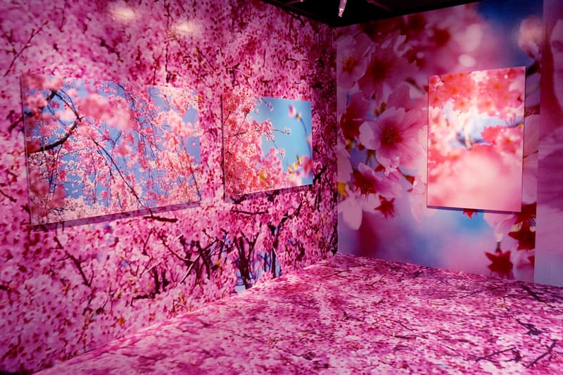 mika ninagawa exhibition taiwan