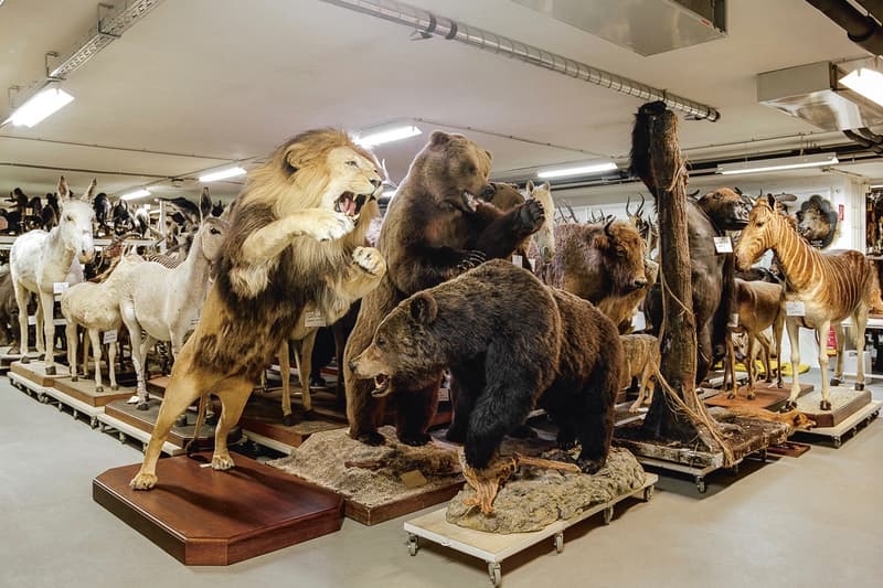 Klaus Pichler 呈現維也納自然「博物館奇妙夜」