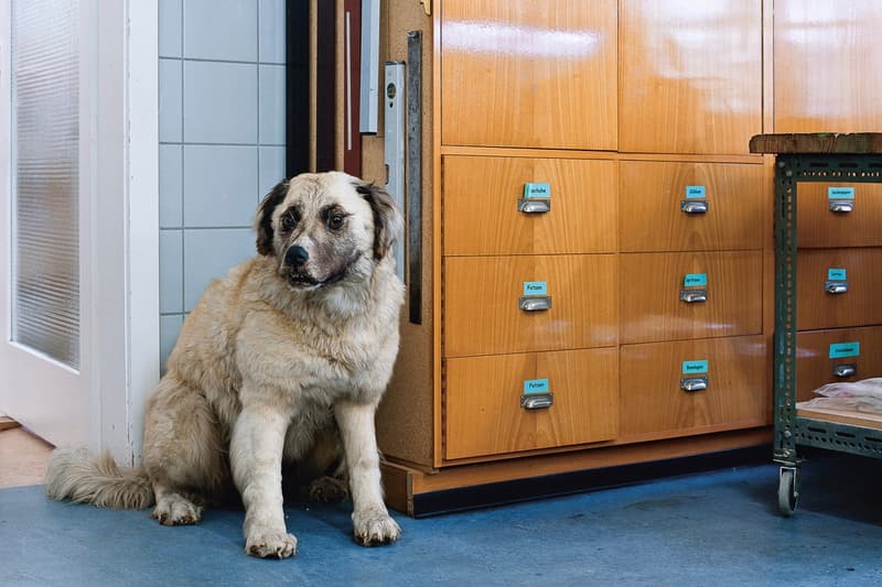 Klaus Pichler 呈現維也納自然「博物館奇妙夜」