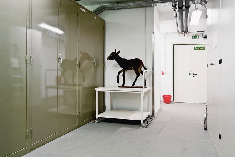 Klaus Pichler 呈現維也納自然「博物館奇妙夜」