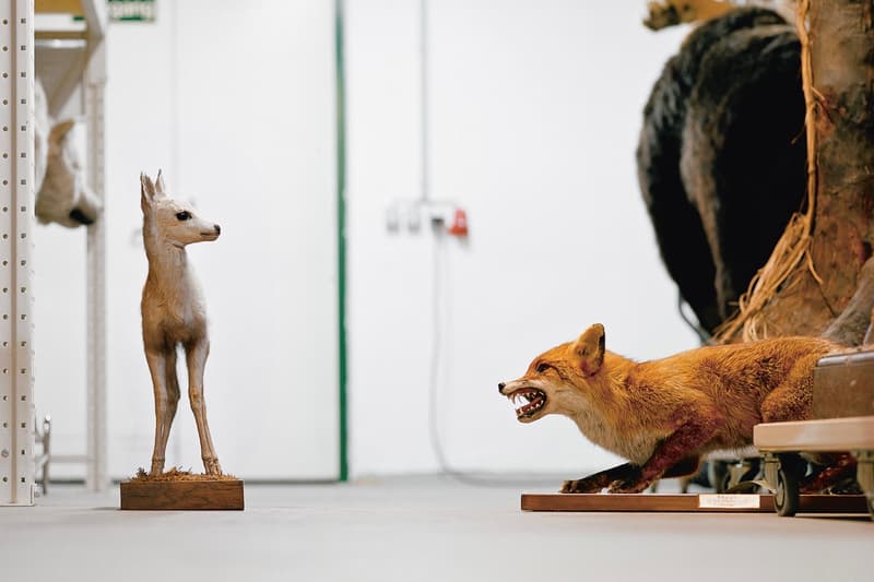 Klaus Pichler 呈現維也納自然「博物館奇妙夜」