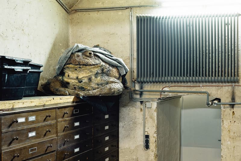 Klaus Pichler 呈現維也納自然「博物館奇妙夜」