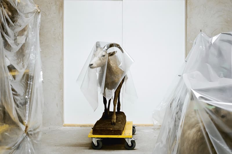 Klaus Pichler 呈現維也納自然「博物館奇妙夜」