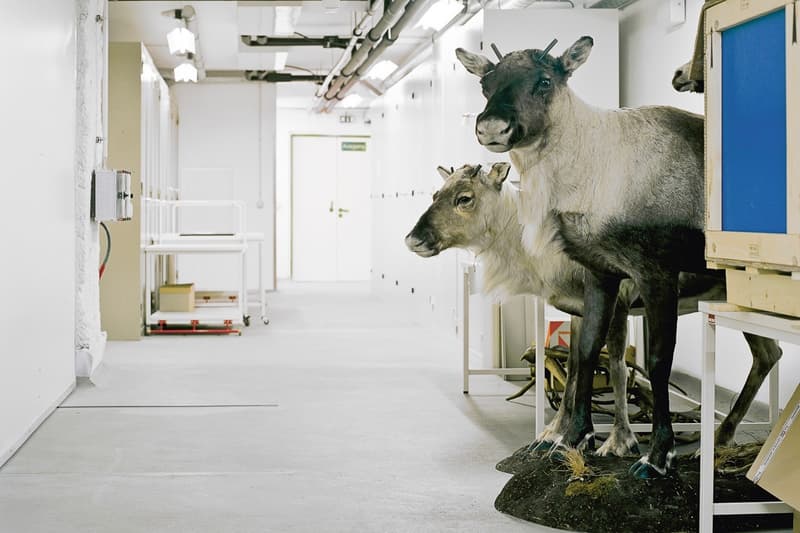 Klaus Pichler 呈現維也納自然「博物館奇妙夜」