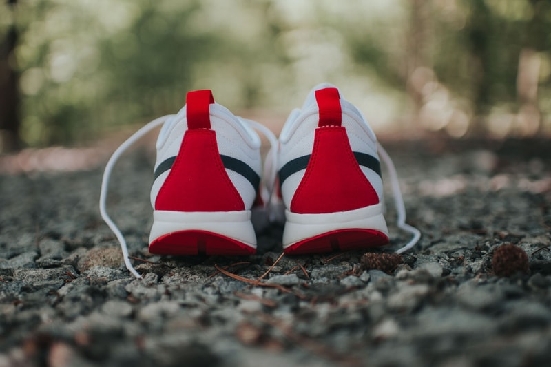Nike SB Trainerendor 全新配色設計