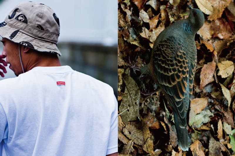 Supreme x Sasquatchfabrix. 2016 春夏聯乘系列造型照