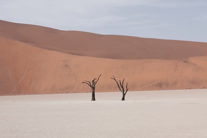 The 2016 Sony World Photography Award Winners