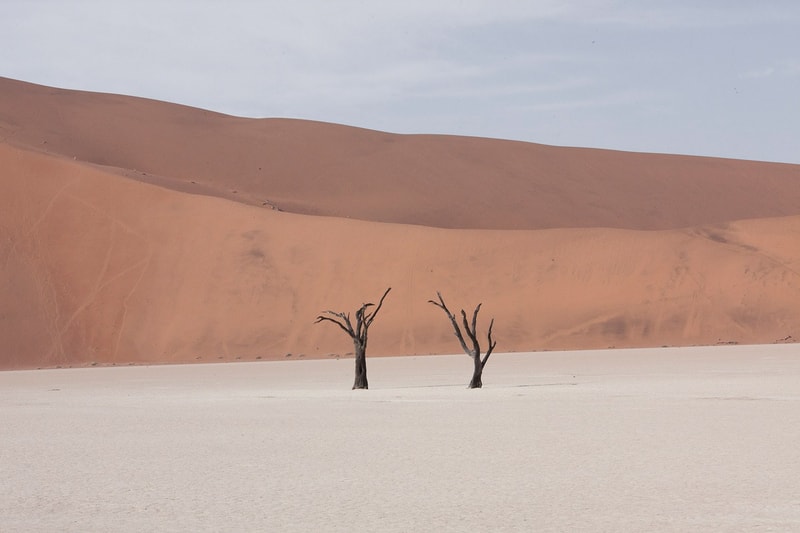 The 2016 Sony World Photography Award Winners