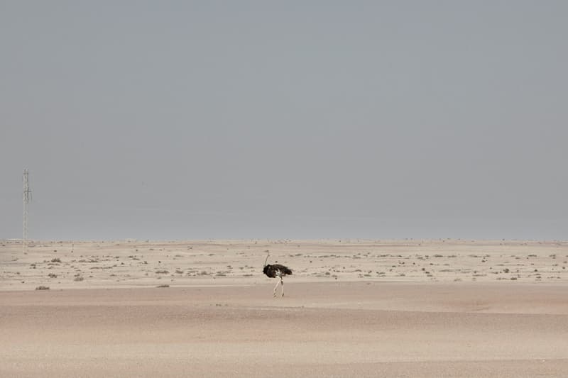 The 2016 Sony World Photography Award Winners