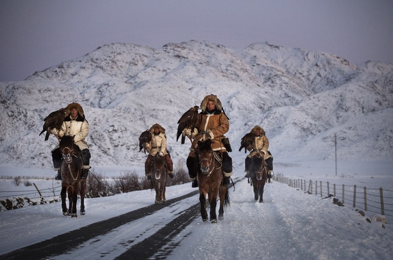 The 2016 Sony World Photography Award Winners