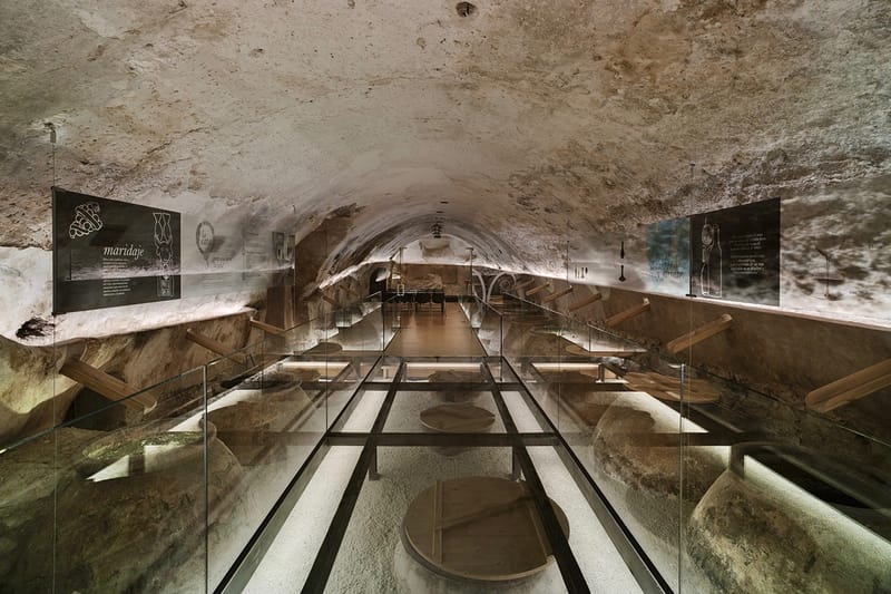 INMAT Arquitectura 改造西班牙古老酒窖為「葡萄酒學院」