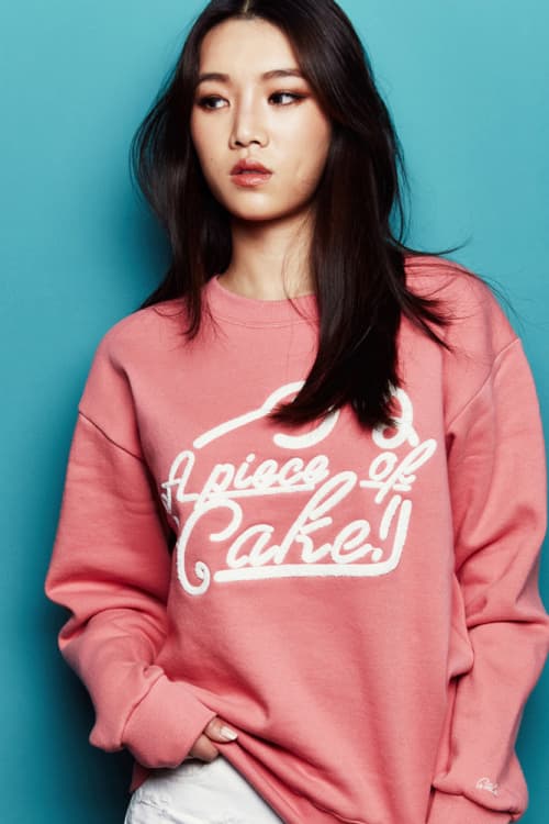 a piece of cake 2016 ss lookbook