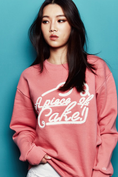 a piece of cake 2016 ss lookbook