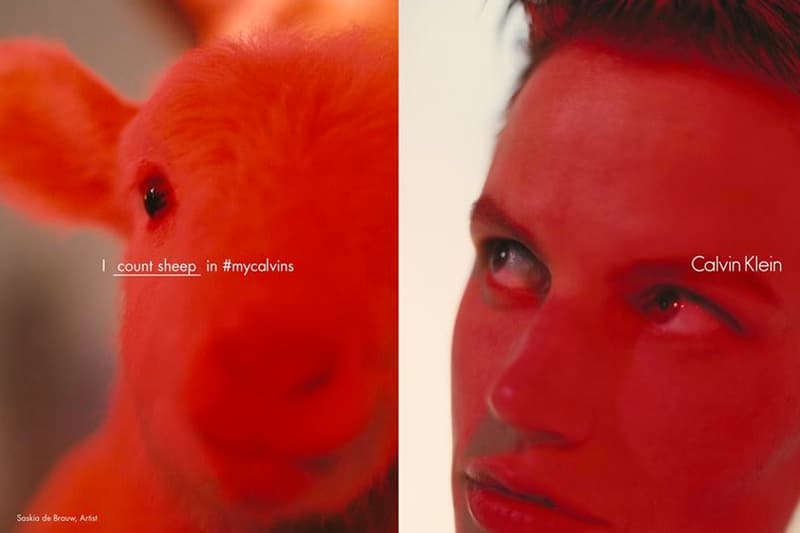 挑戰底線！多位女星性感演繹 Calvin Klein 2016 春夏內衣系列造型