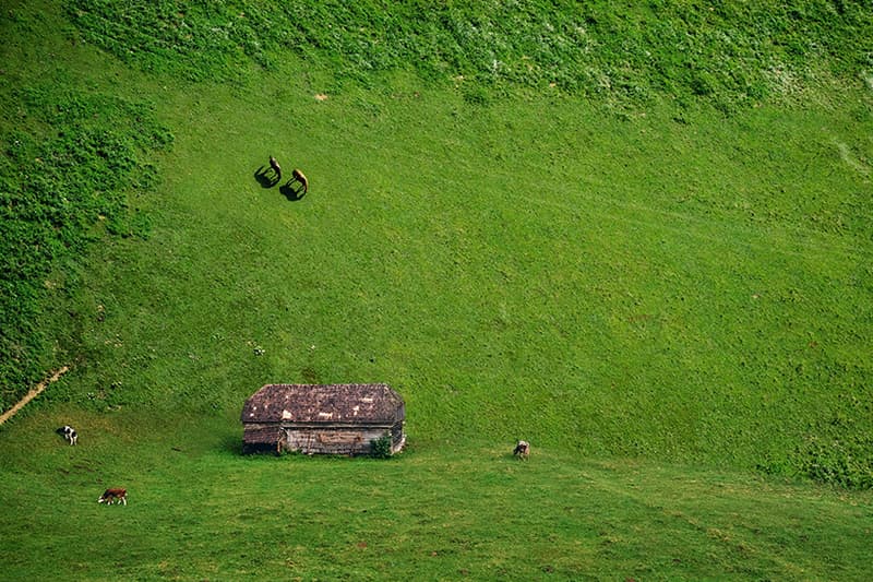 Laurent Rosset 展現自己想像中的虛幻世界