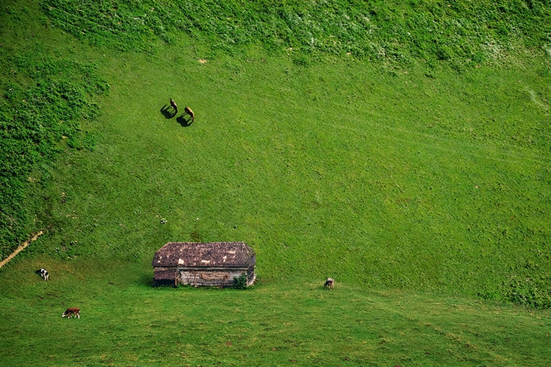 Laurent Rosset 展現自己想像中的虛幻世界