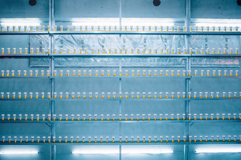 Fast Food Aid: 全球首家針對垃圾食品愛好者的「保健品」店