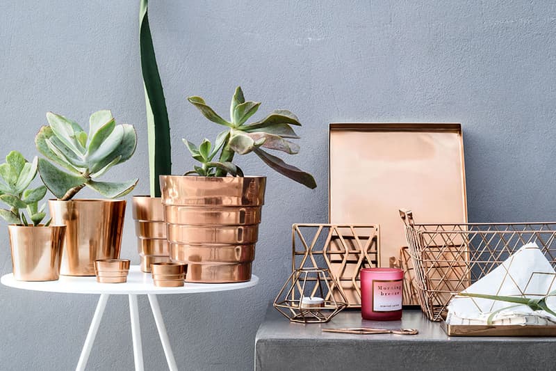 H&M Home 最新  2016 夏季系列新品