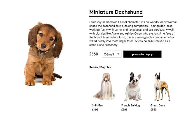 lyst dog accessories marketing