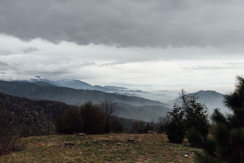 REBEL8 2016 Summer Lookbook