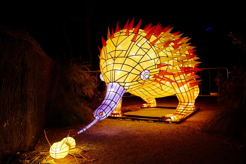 2016 年 Vivid Sydney「光影」藝術節華麗開啟