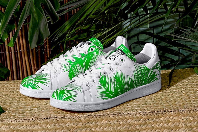 adidas Originals = PHARRELL WILLIAMS Billionaire Boys Club Palm Tree