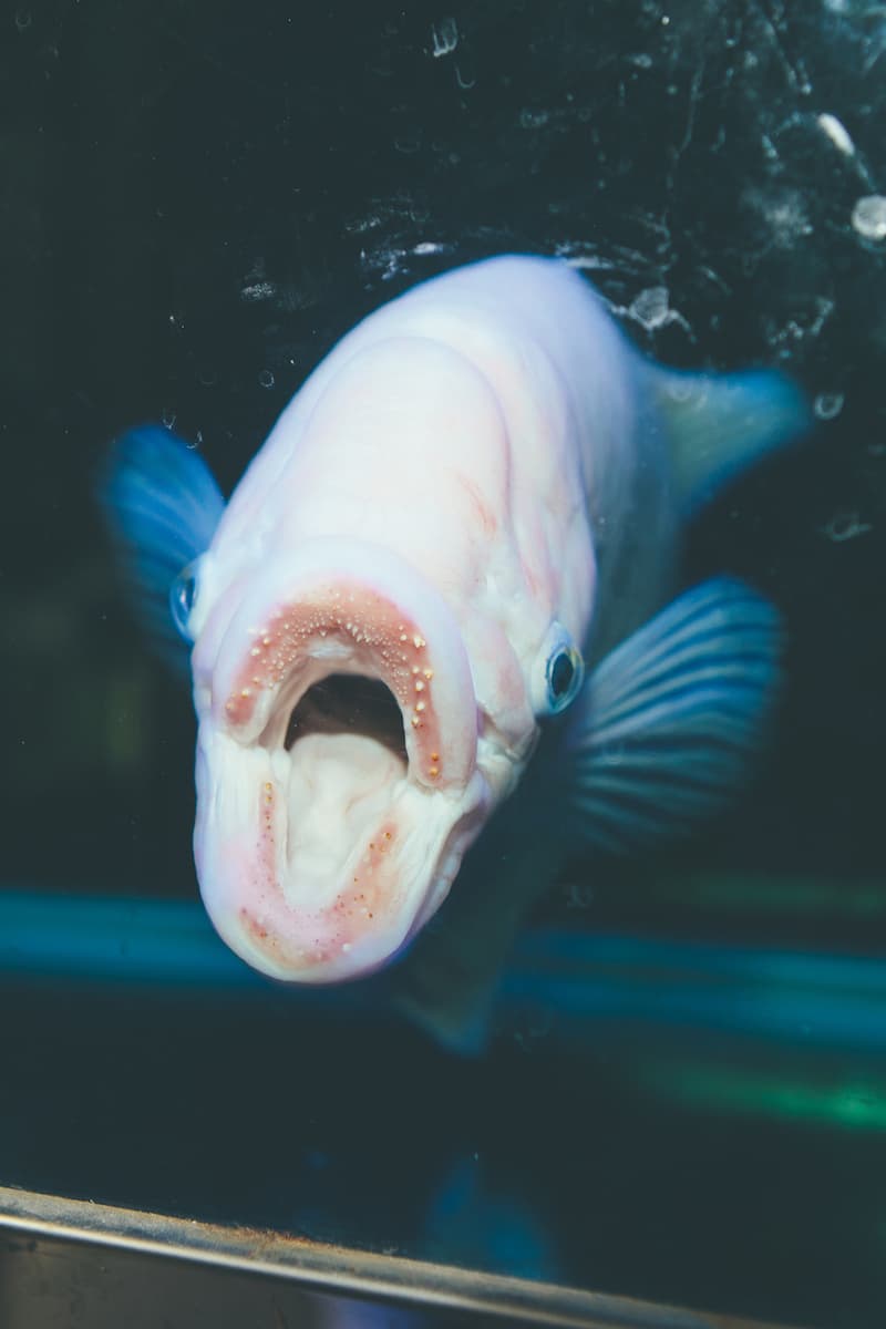 DOE Shanghai 2016 春夏「Shapeless」系列 Lookbook