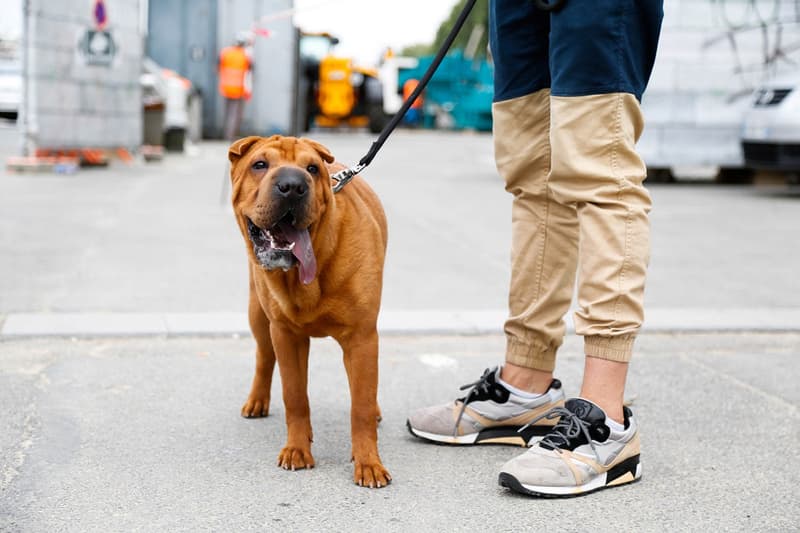 Streetsnaps: 2017 春夏巴黎男裝周街拍特輯 Part 1