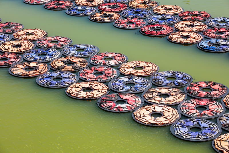 Ai wei wei Vienna f.lotus