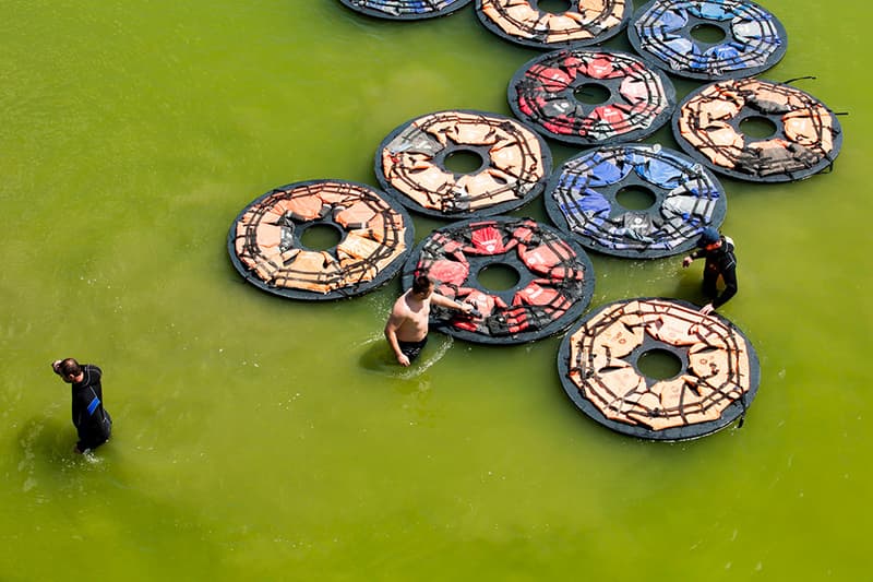 Ai wei wei Vienna f.lotus