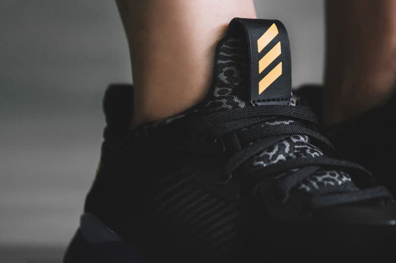 近賞 adidas 全新 Alpha Bounce 系列設計